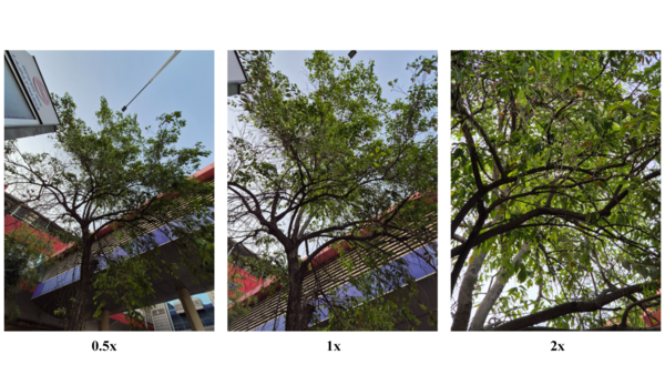 Galaxy S24+ natural light (1)