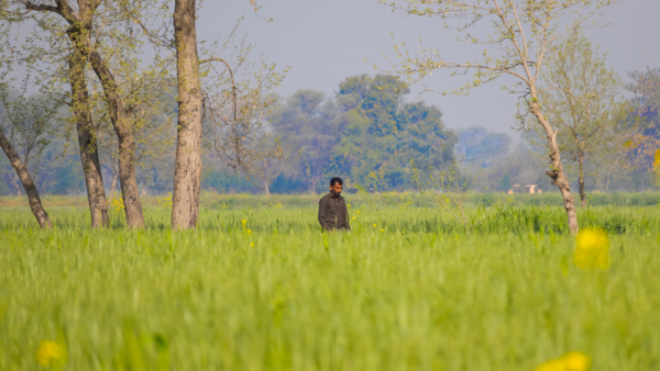 baisakhi (2)