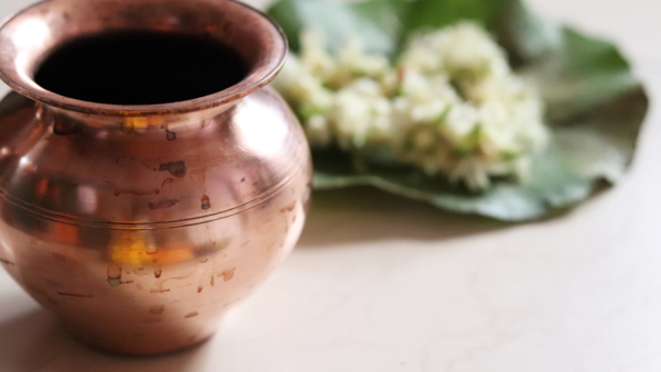 moringa (16)