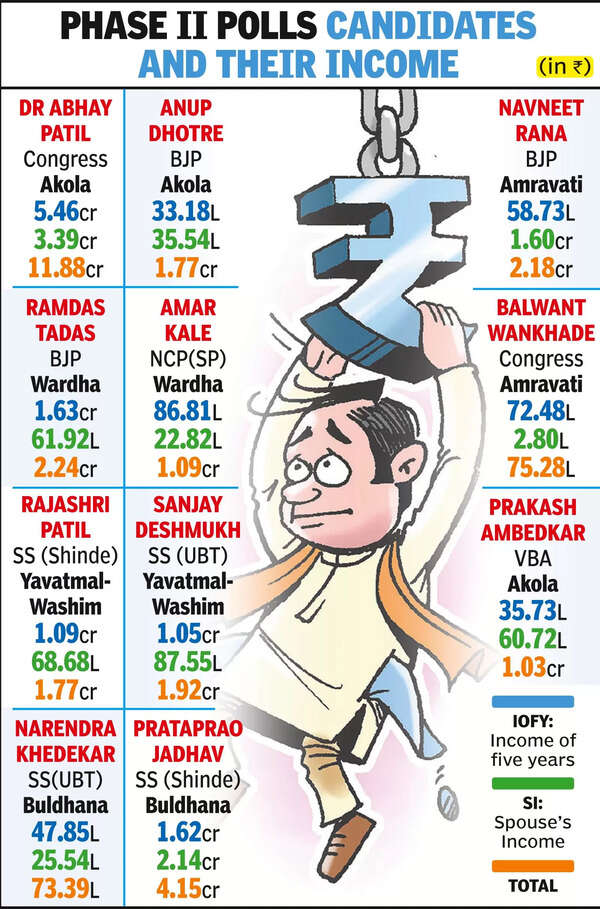 Crorepatis Nine Candidates Became Crorepatis In Just 5 Years Nagpur