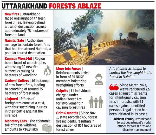 Forest Fire: Uttarakhand Forest Fires: 47 New Incidents Burn 78 ...