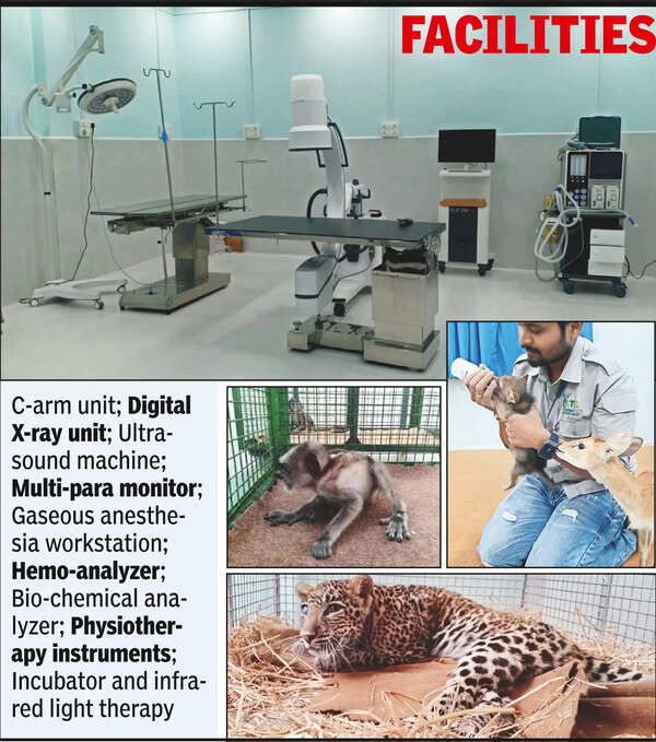 Wild Animals: Paediatric ward for wild animals at TTC | Nagpur News ...
