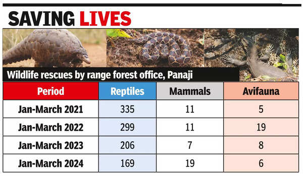 As temps soar, wildlife rescues in urban areas go up