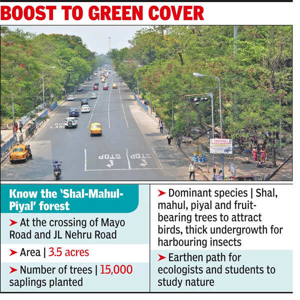 Joka Metro work: Transplant hope for trees in Kol’s only urban forest