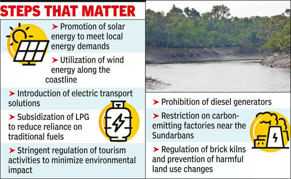 Air pollution poses threat to mangrove ecosystem, warns study on Sundarbans