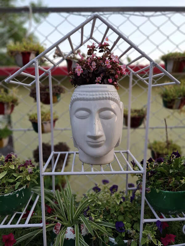 Samsung Galaxy A55 5G review: Impresses in looks, camera and display