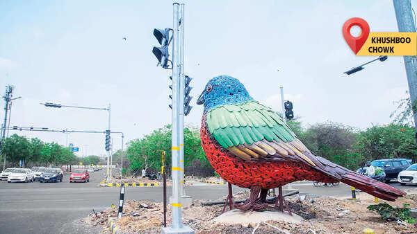 Khushboo Chowk is the home for this birdie