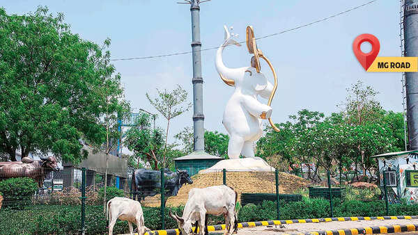 Have you spotted the white elephant yet?