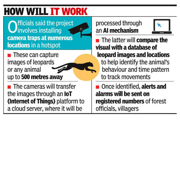 AI system to be used in Junnar against leopard attacks