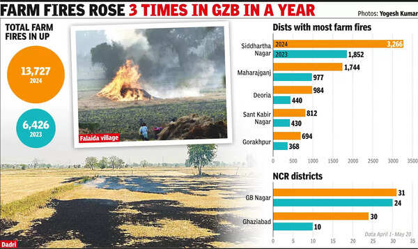 Stubble burning count doubles in state