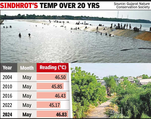 Sindhrot: Sindhrot sizzles at 46.83C, highest in last two decades ...