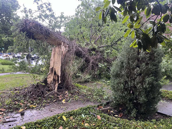 A collapsed tree after a storm lies at Daniel Avenue and Athens Avenue in University Park, Texas. Severe Weather Texas