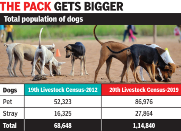 Census