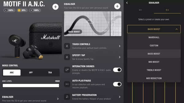 marshall_motif_II_ANC_app