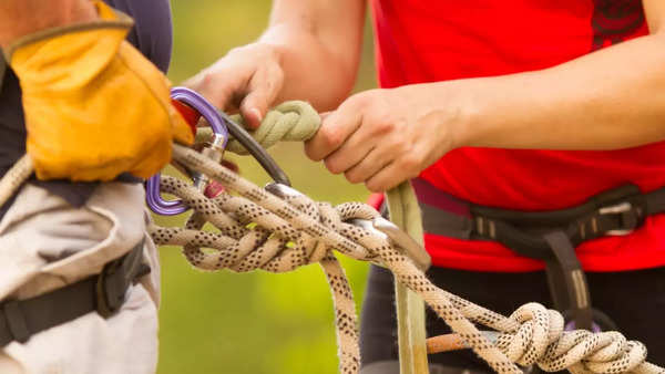 12-year-old wins Spelling Bee: What is the meaning of the word 'abseil ...