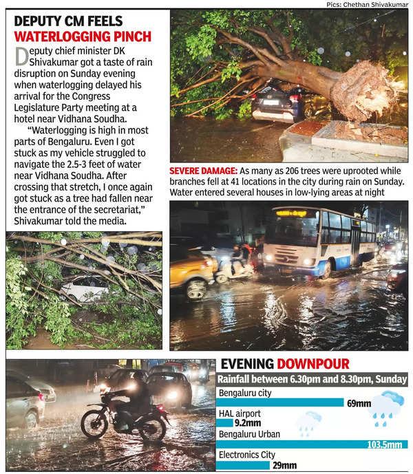 Monsoon: Monsoon Arrives, 206 Trees Fall In City | Bengaluru News ...