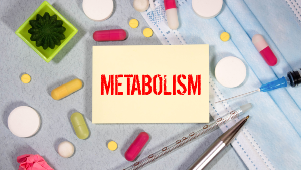 Master your metabolism with these 8 simple moves to lose weight - Times ...