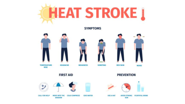 Heatwave: 6 health tips for all as IMD predicted intense heatwave in ...