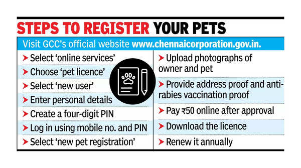 Pet Registration: Pet registrations soar in city after GCC warns of ...