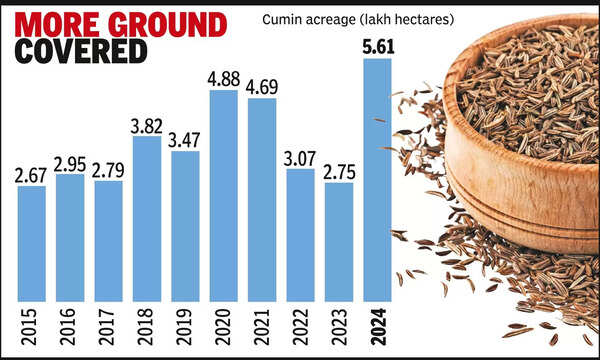 Cumin Production: Cumin Production in Gujarat Surges by 92% Due to ...