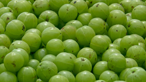 Amla juice for skin best sale