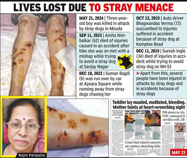 On Morning Walk, Senior CitizenMauled By A Pack Of Stray Dogs
