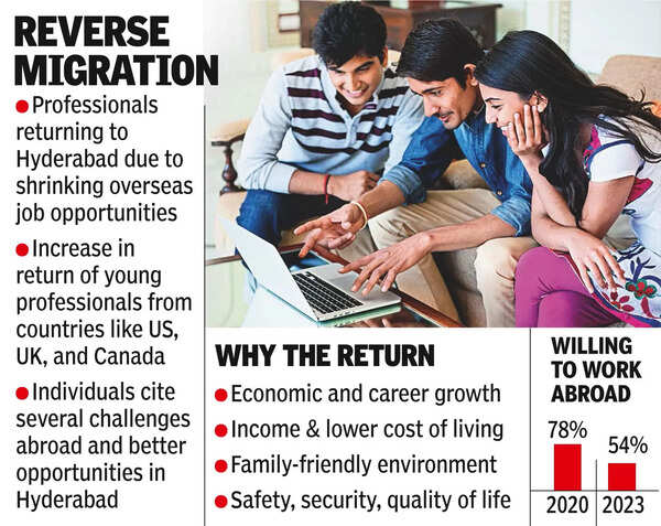 Professionals return home as global job market wanes