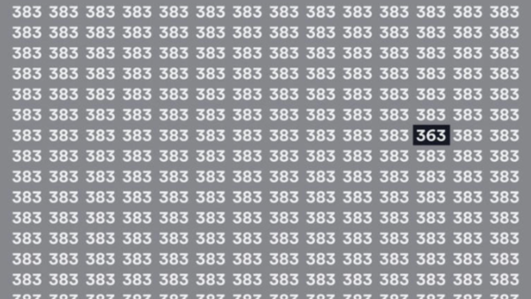 Brain teaser: Can you find 363 in this image - Times of India