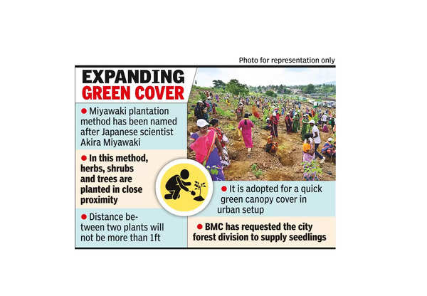 BMC to adopt Miyawaki method to create dense urban forests