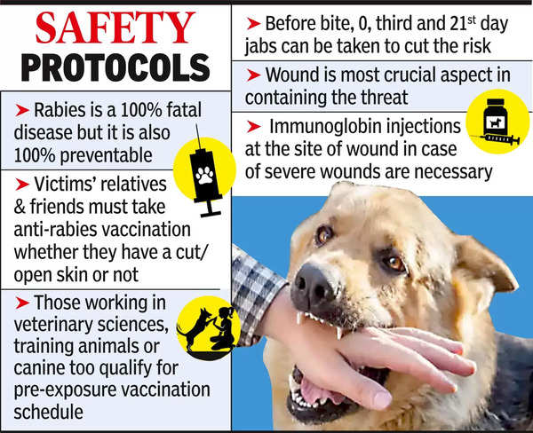 Rabies Vaccination Caregivers of Dog Bite Victims Must Take Anti Rabies Jab Nagpur News Times of India