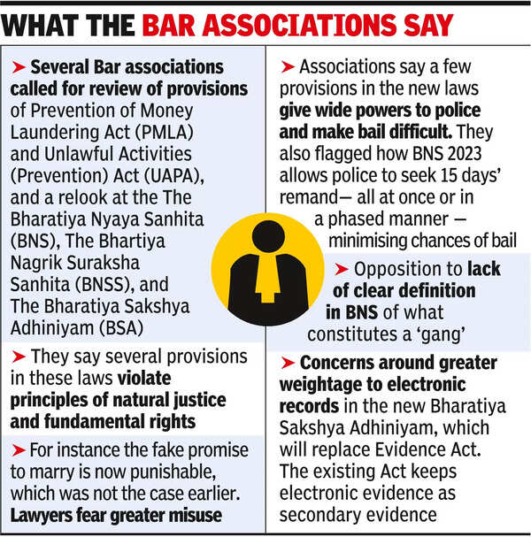 Stir Against New Criminal Laws Reaches Bar Council