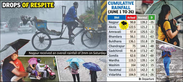 Rainfall: Nagpur remains 35% rainfall deficient, above average monsoon ...