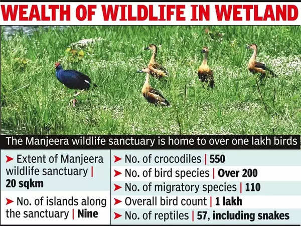 Manjeera wildlife sanctuary