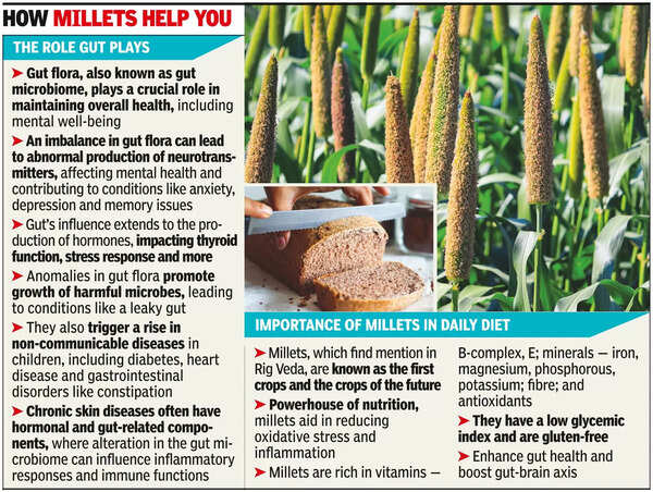 Not just a gut feeling, way to healthy brain is indeed through stomach