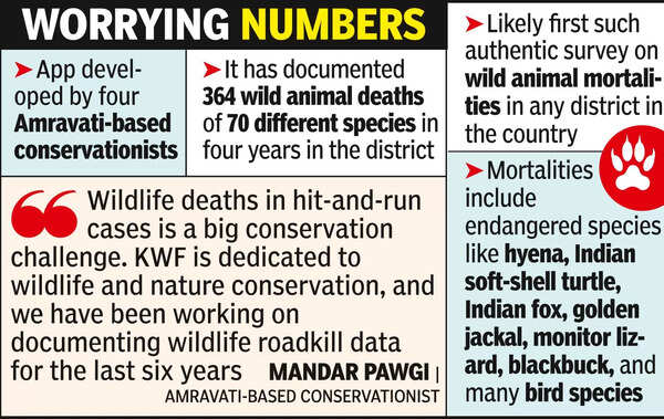 App documents 364 road kills in Amt in 4 yrs