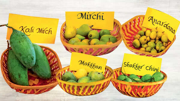 Mango varieties named after sweets and spices intrigued visitors