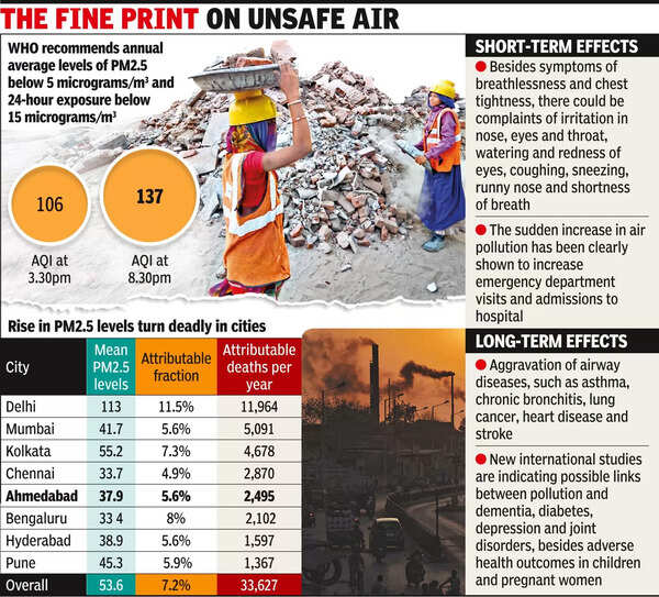 Particulate matter pollution costs city 7 lives a day: Study