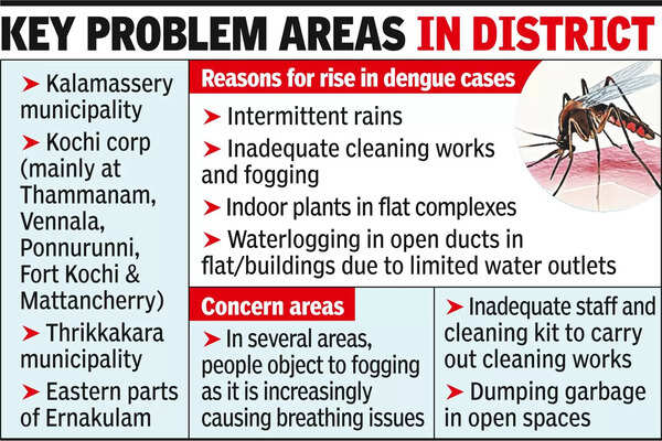 Kalamassery hotspot of dengue cases in district
