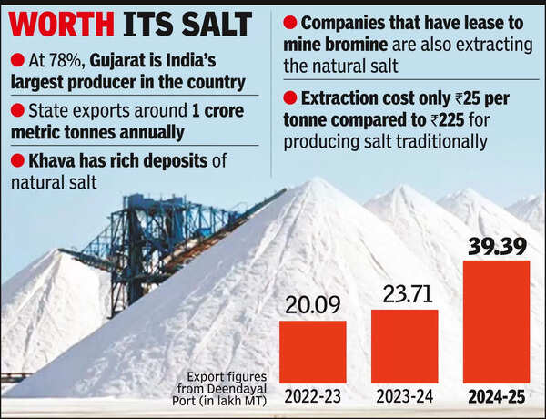 Salt Exports: Salt exports from DPT surge by 66% in Q1 | Rajkot News ...