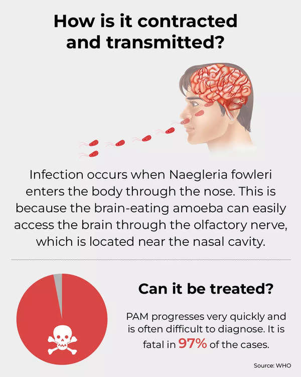 Naegleria Fowleri Primary Amebic Meningoencephalitis Pam