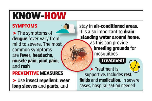 Dengue larvae found in many of 60K houses in East S’bhum