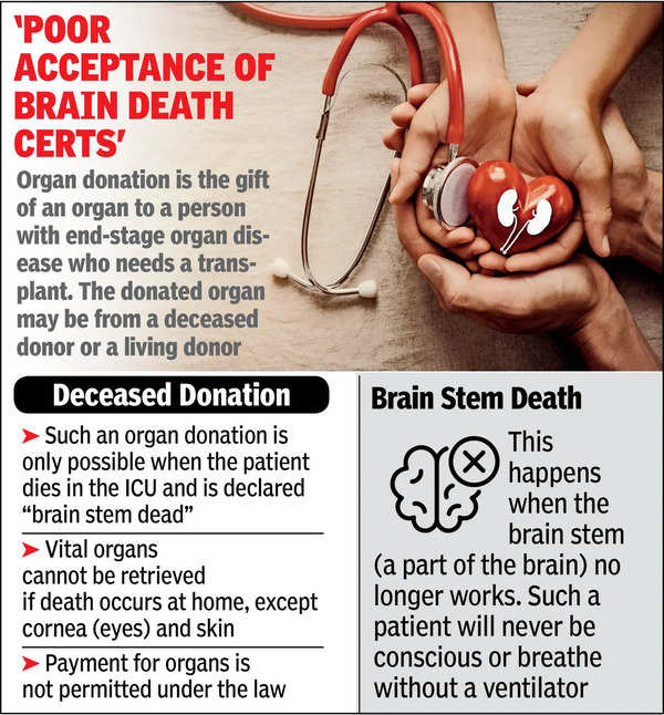 In 27 yrs, public hosps saw just 36 cadaver donations, pvt 680