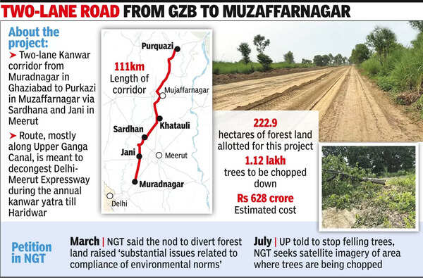 Kanwar route: NGT seeks satellite images of land where trees were cut