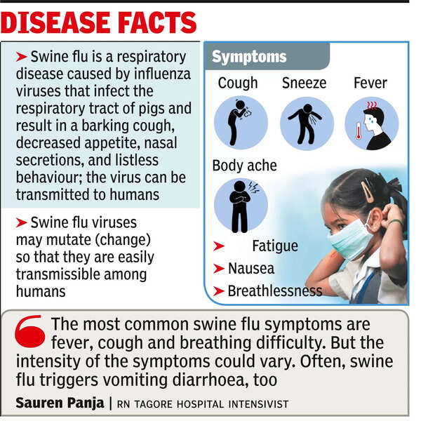 H1n1 Flu Symptoms 2025