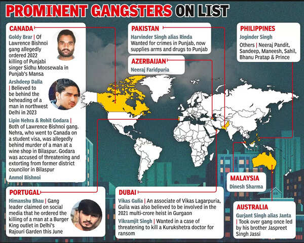 Notorious 20 pulling crime strings from abroad on Haryana STF radar
