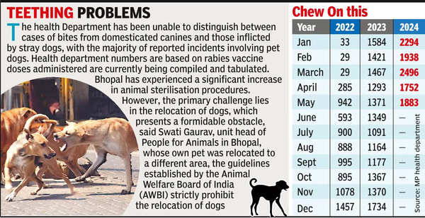 Dog Bite Cases: Rising Dog-Bite Cases in Bhopal: Alarming Surge in ...