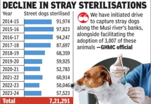 Efforts fall short: Hyderabad logs 30k dog bite cases each year