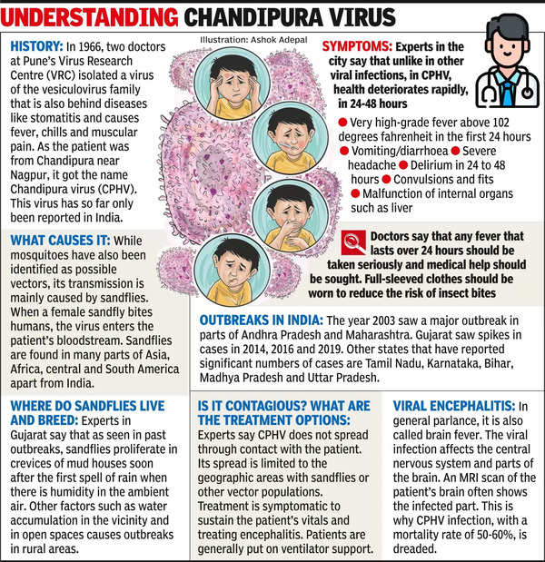 Chandipura Virus: Chandipura Virus Outbreak in Gujarat | Ahmedabad News ...