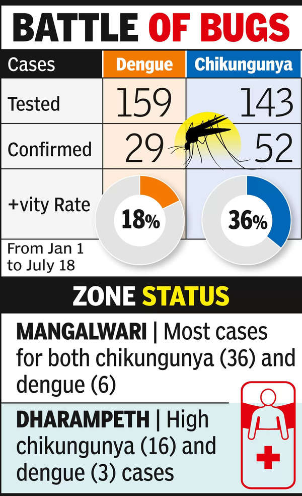 Chikungunya: Chikungunya Outbreak in Nagpur | Nagpur News - Times of India