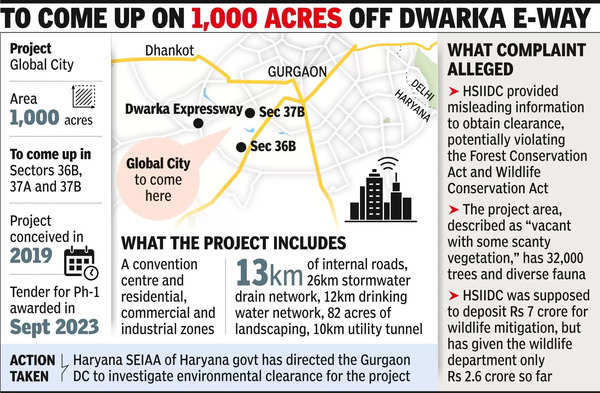 Will Global City put forestland at risk? Green nod under scrutiny